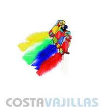 IMAGEN